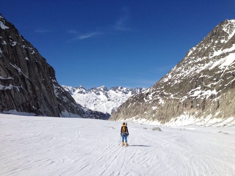 17352811_10212184733715664_1154119512_n