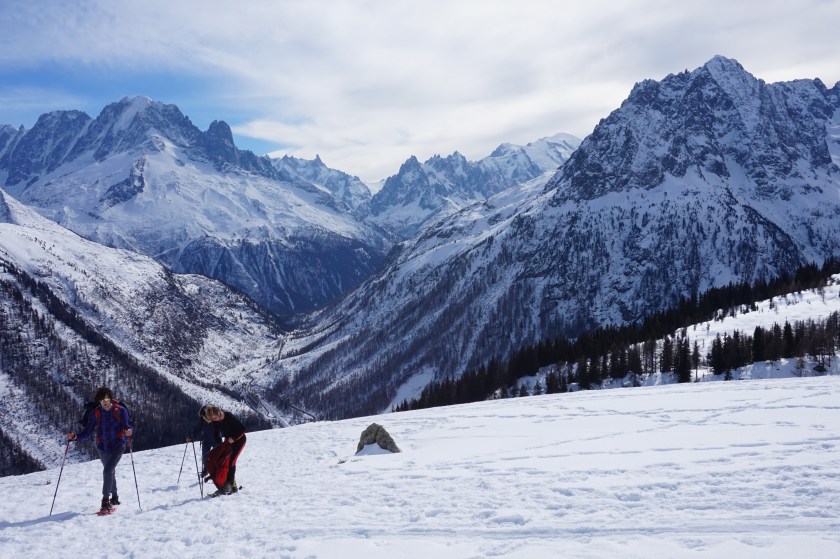 32949242402_99557206fc_o