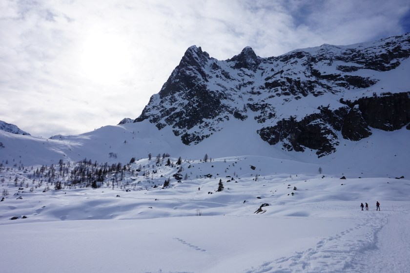 33105759235_c0c43fd4d2_o