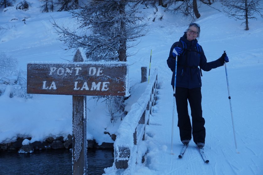 49332904322_a8619f5764_k