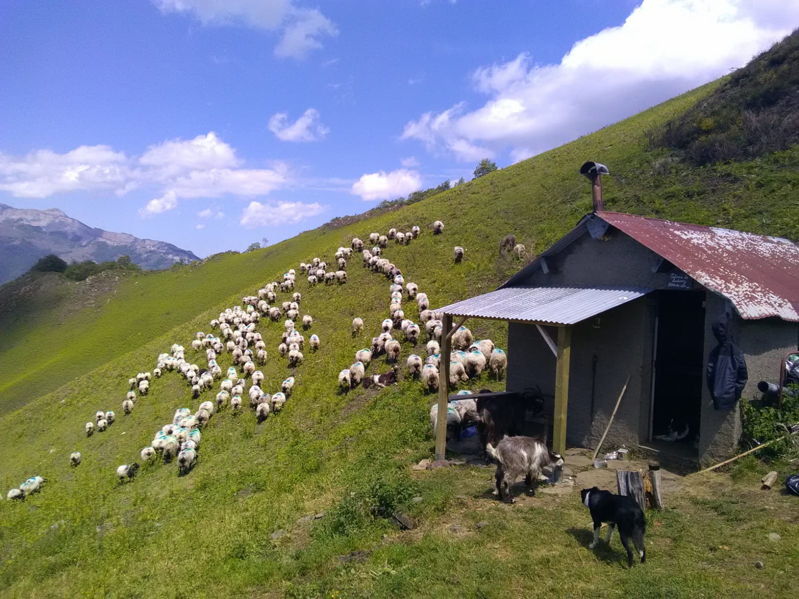 IMG-20200301-WA0011